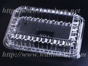 Clear Hinged Food Container