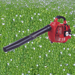 Garden Blower