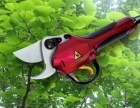 Pruner