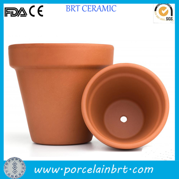 Flower Pot