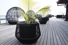 Rattan Flower Pot