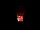 Make Up Brush
