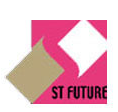 Guangzhou St Future Commodity Co., Ltd.