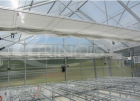 Agricultural Greenhouses    FM8000PC-4000VENLO