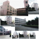 Shenzhen Longzhiyu Crafts Co., Ltd.