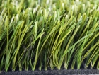 Artificial Turf