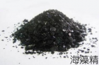 Seaweed Extract