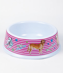 Pet Bowls & Feeders