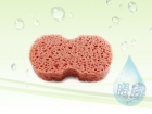 Car Sponge