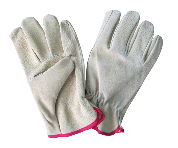 Household Gloves