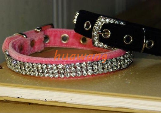 Pet Collar