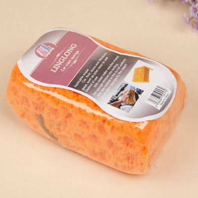 Car Sponge