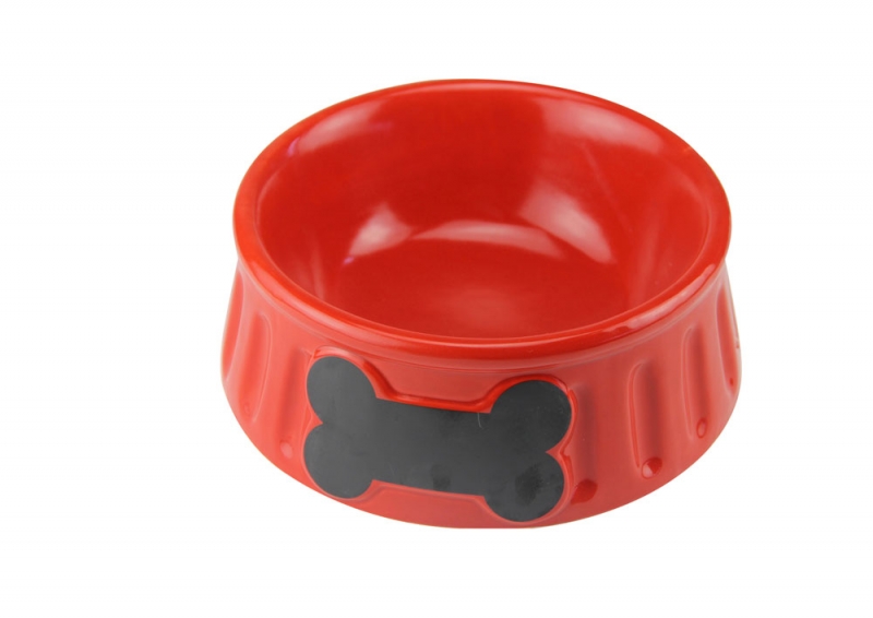 Pet Bowls & Feeders