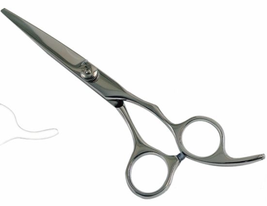 Pet scissors