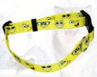 Pet Collar