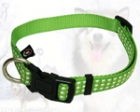 Pet Collar