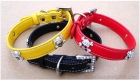 Pet Collar