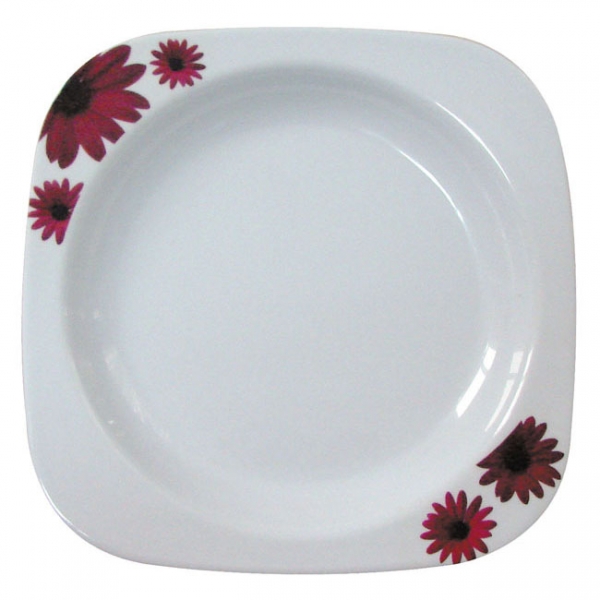 Melamine Plates