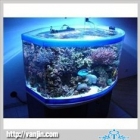 Aquarium Tank