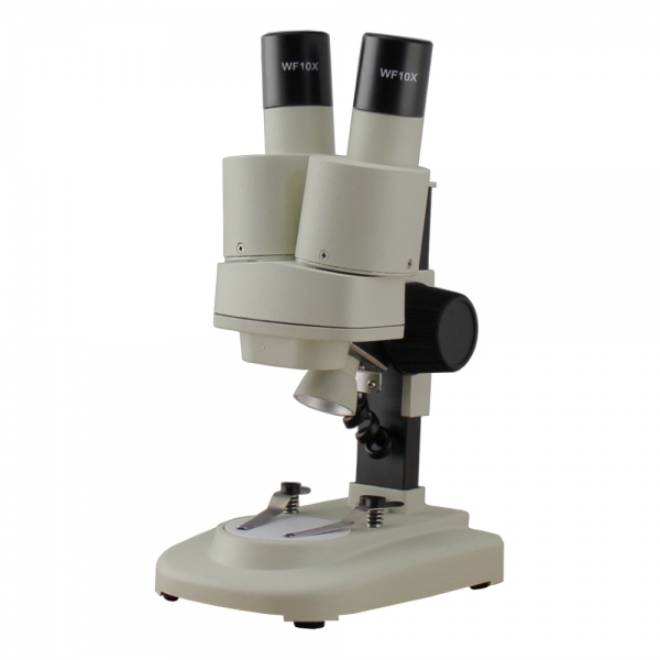 Dual Power Stereo Microscopes