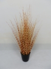 PVC Onion Grass