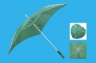 Umbrellas