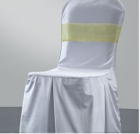 Chair Cover