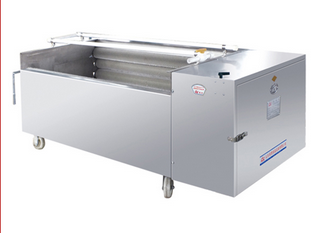 XCJ series Vegetable Wahser