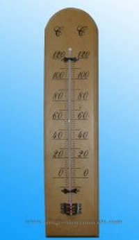 Household Thermometers