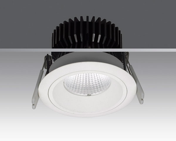 LED DownLighters