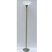 LED Floor Lamp