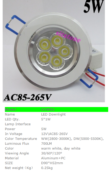 LED DownLighters