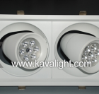 LED DownLighters