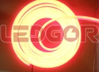 LED Neon Lights