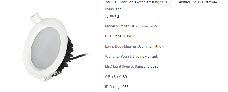 LED DownLighters