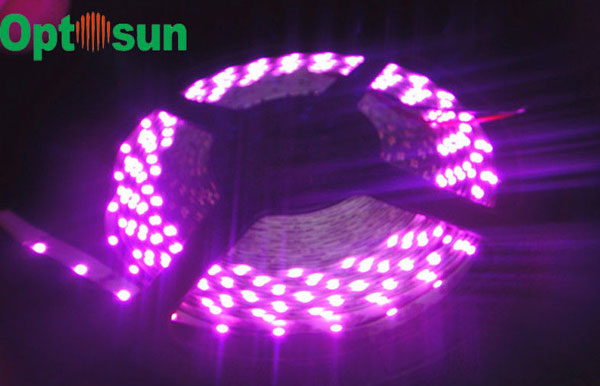 LED Strip Lights